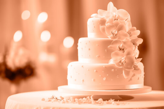 A beautiful peach-colored birthday cake on a background with a place to copy. A space to copy the peach color. 