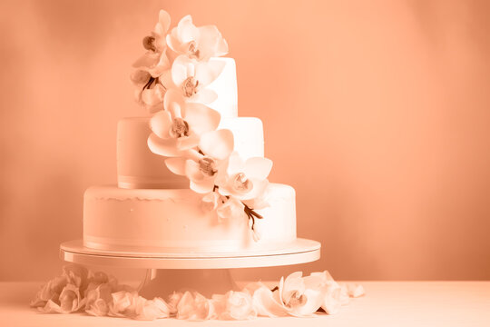 A beautiful peach-colored birthday cake on a background with a place to copy. A space to copy the peach color. 