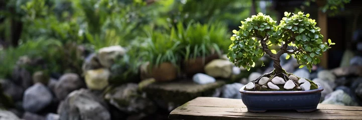 Zelfklevend Fotobehang A serene bonsai tree centerpiece on a wooden bench with a blurred green garden background © AI Petr Images