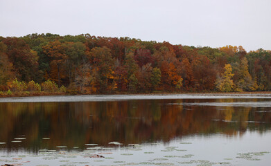 Obraz premium autumn trees reflected in water