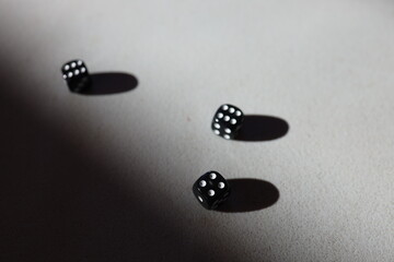 dice on the table