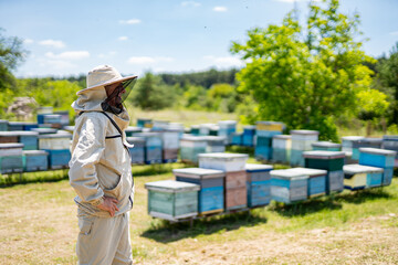 A man standing in front of a bunch of beehives. A Beekeeper Inspecting His Hives