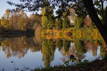 Fototapeta na wymiar Sunny autumn day on the Snohomish River