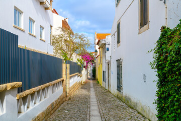 A narrow alley in a residential section with colorful purple bougainvillea plants in the historic old town district of Cascais, Portugal.