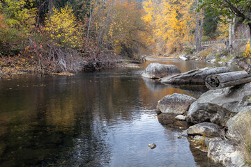 Fall foliage along the Nason River