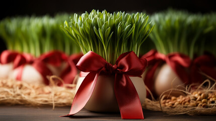 Young wheat sprouts in clay pots decorated with red ribbon, spring and new year holiday in Iran and Azerbaijan, idea for a card or banner