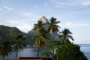 Views of Petit Piton on St. Lucia with palm tree in front.  Shot on a Sony mirrorless camera in the...