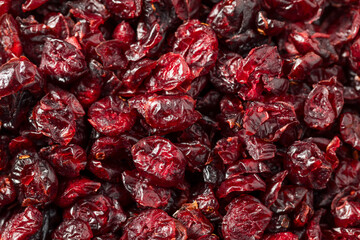 Organic Raw Dry Cranberries