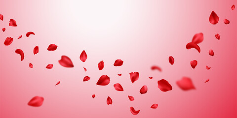 Red rose petals will fall on abstract floral background. Rose petal greeting card design. Lettering Card Background. Vector illustration