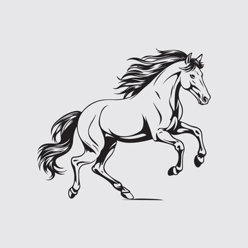 Horse Vector Image