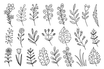 Set of floral branchs, elegant wildflowers and minimalist leaves. Doodle style. Hand drawn. Minimal line art drawing for design, print, web or advertising. Vector illustration EPS10. 