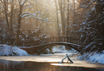 Zimowy krajobraz w parku w Pszczynie, śląsk  © Elżbieta Kaps