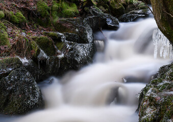 Natural stream in the forest in winter