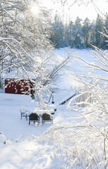 Snowy landscape with snowy trees and frozen lake in Finland