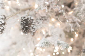 Winter Christmas Tree Background Wallpaper