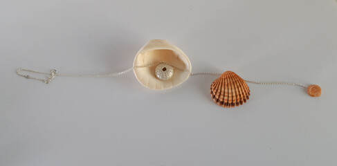 Silver Necklace on a marine shell placed in a row - Jewelry photography