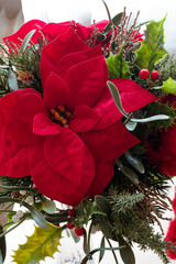 Christmas floral decoration: close-up of a poinsettia, Euphorbia pulcherrima