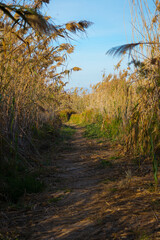 camino de caminos