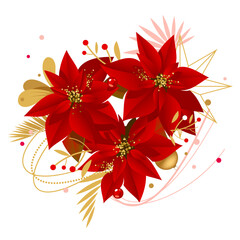 Tropical poinsettia flowers for Christmas - 690335701