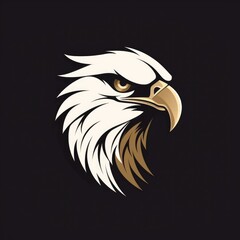 Fototapeta premium Eagle head illustration