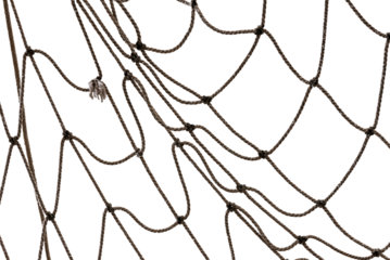 Icy mesh made of rope in the snow on a white background. Torn fishing, football, tennis net isolate