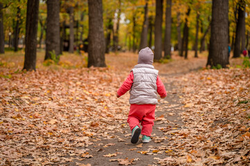 Cute child toddler baby in autumn park, forest with fallen leaves