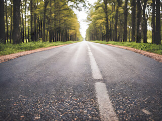 Fototapeta premium Empty asphalt road in the forest with trees in the background - vintage filter