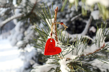 We love winter: red heart on a spruce branch covered with snow, close-up