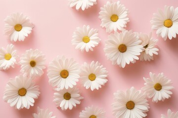 Scattered daisies on a soft pink background, their white petals and yellow centers creating a delicate and cheerful pattern, perfect for spring and summer themes.


