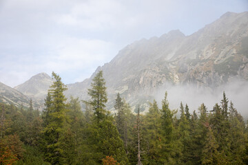 High Tatra, Slovakia, near Predne Solisko