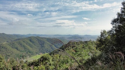 日本の山の風景