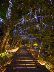 Fairy-tale beautiful park with wooden path and forest trees decorated with magical lamps and...