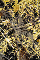 fabric surface texture