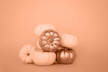 Small white and golden pumpkins of the Bebi Bu variety lie on a yellow background. The concept of...