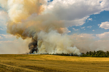 Large steppe fire in the fields of Orenburg, Russia. Smoke from a blaze in the steppe. Wildfire  in...