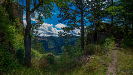 Fototapeta premium slovakia forest in the mountains