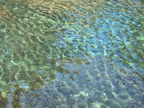 Sea clear water with algae at the bottom