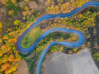 vista aerea di strada a tornanti con pesaggio autunnale e alberi colorati di rosso e arancio
