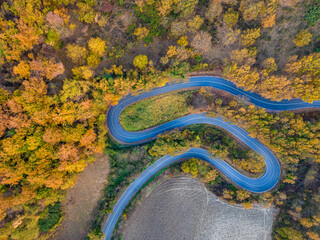 vista aerea di strada a tornanti con pesaggio autunnale e alberi colorati di rosso e arancio