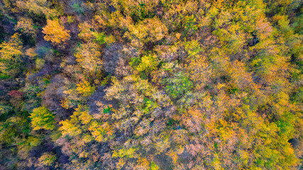 aerial view of an autumn landscape between hills and colorful woods