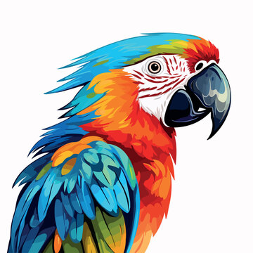 recommend clip art: Tropical parrot flat vector illustration. Tropical parrot hand drawing isolated vector illustration