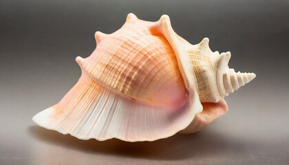 Peach Fuzz color shell, background with selective focus and copy space