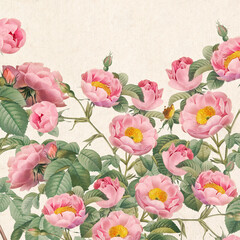 Rose Flowers: Digital floral watercolor on a textured rustic beige background.