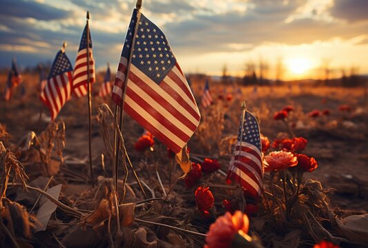 American flags in a cemetery at sunset
