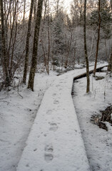 Snow-Covered Tranquility: Wooden Pathways Amidst Pokainu Mezs' Wintry Woods