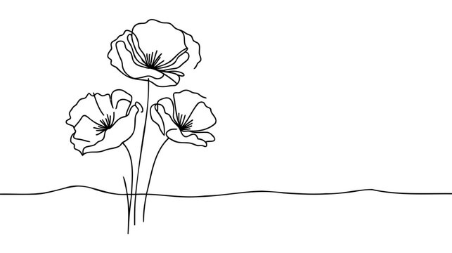 Poppy flowers in continuous line art drawing style. Doodle floral border with two flowers blooming among grass.