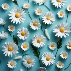 white daisies in the shape of a cross, white frame background on pale blue