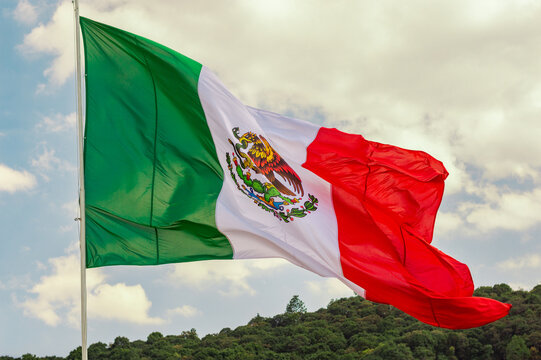 La bandera mexicana al detalle