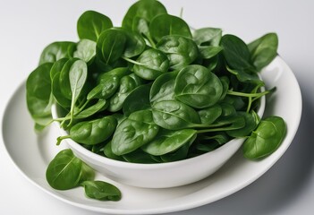 Spinach, isolated, wet, superfood