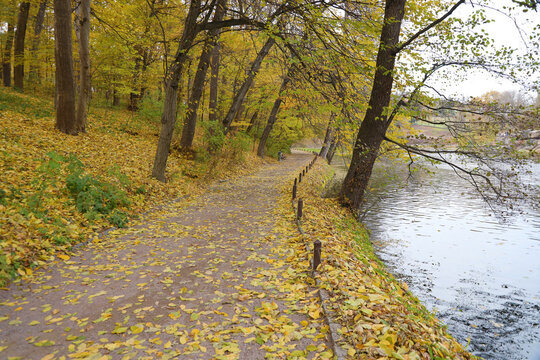 Beautiful Nature Autumn landscape with lake. Scenery view on autumn city park with golden yellow foliage in cloudy day. Walking paths in the city Park strewn with autumn fallen leaves